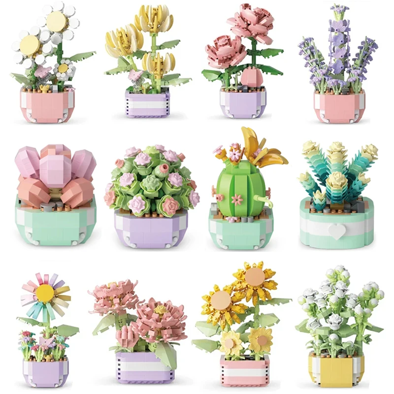 Bonsai Garden Zen - Flower Succulents Building Blocks Everlasting Flower