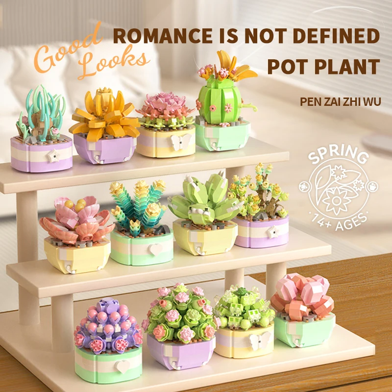 Flower Succulents Building Blo – Bonsai Garden Zen Bewertung und Preis