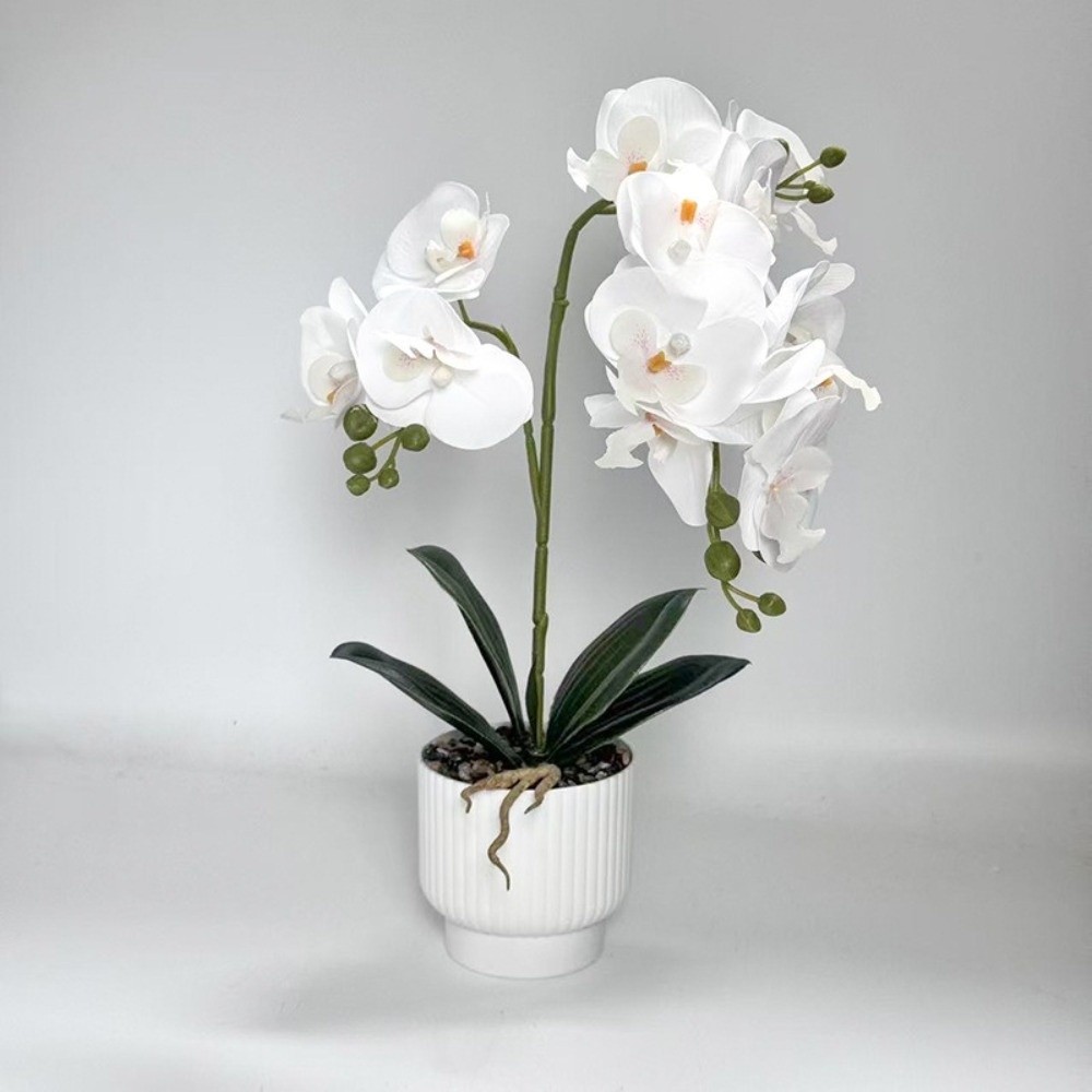 Multi-Bloom Simulated Butterfl – Bonsai Garden Zen Bewertung und Preis