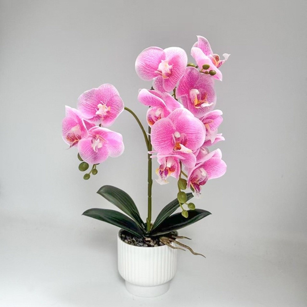 Multi-Bloom Simulated Butterfl – Bonsai Garden Zen Bewertung und Preis