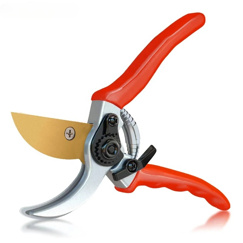 Hot Sale Pruning Fruit Shears  – Bonsai Garden For Sale Bewertung und Preis