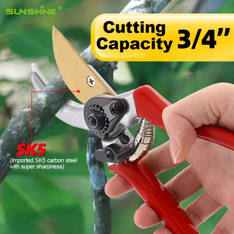Hot Sale Pruning Fruit Shears  – Bonsai Garden For Sale Bewertung und Preis