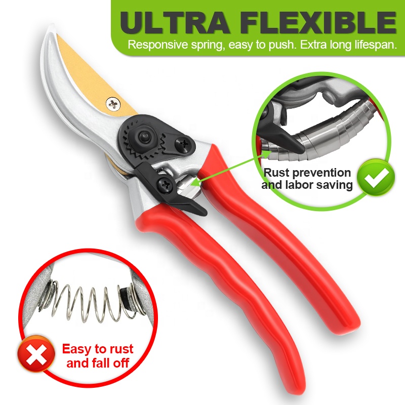 Hot Sale Pruning Fruit Shears  – Bonsai Garden For Sale Bewertung und Preis