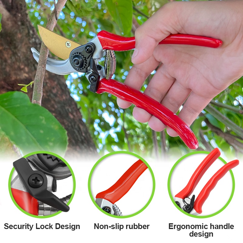 Hot Sale Pruning Fruit Shears  – Bonsai Garden For Sale Bewertung und Preis