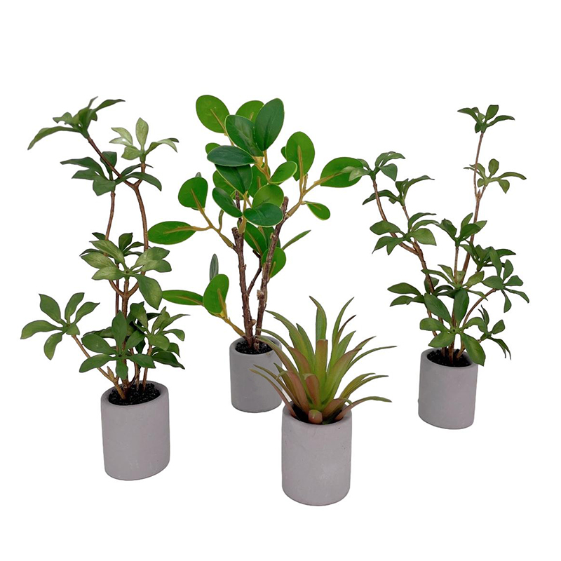 1:6 Dollhouse Miniature Potted – Bonsai Garden Zen Bewertung und Preis