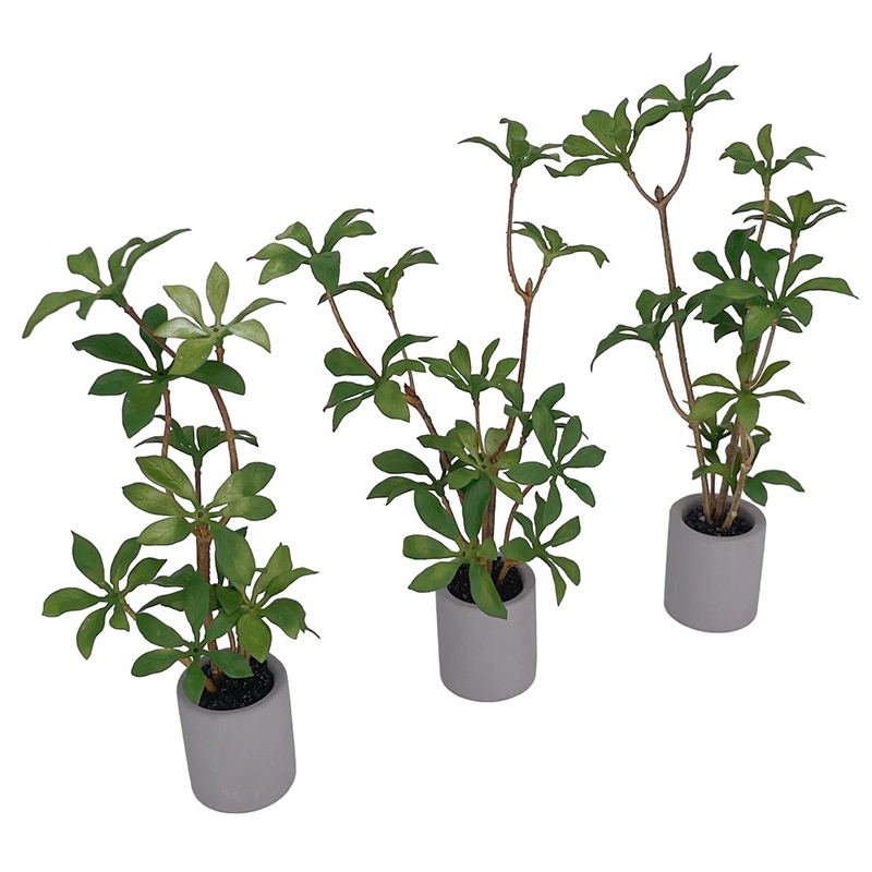 1:6 Dollhouse Miniature Potted – Bonsai Garden Zen Bewertung und Preis
