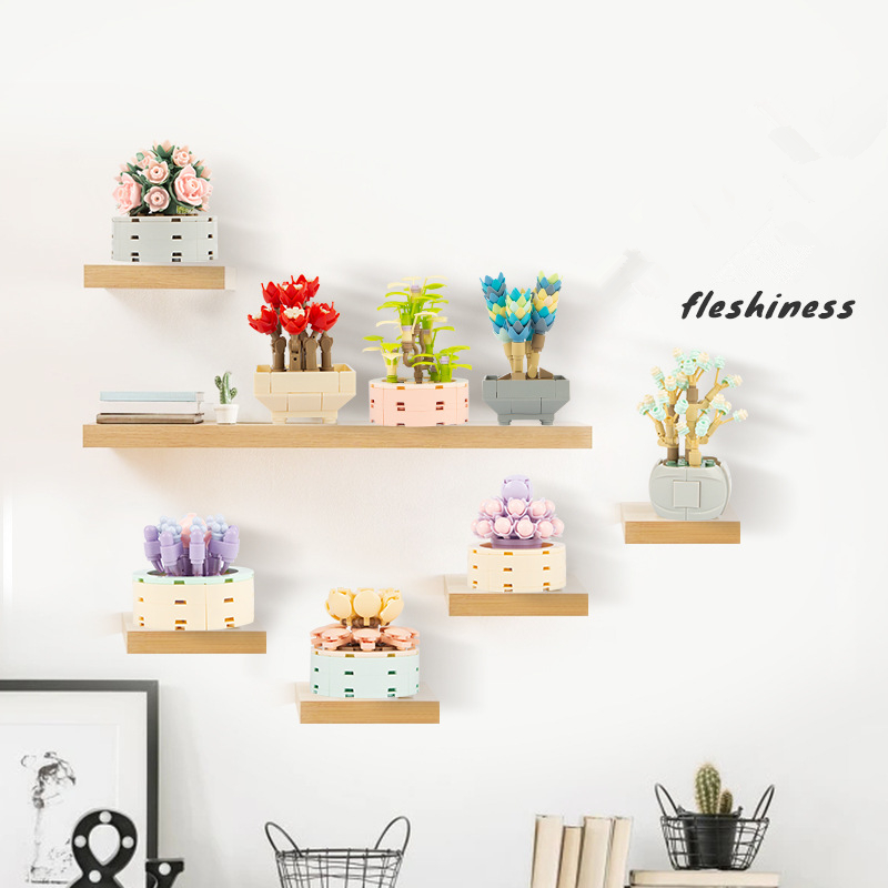 DIY MOC Potted Plants Succulen – Bonsai Garden Experts Bewertung und Preis