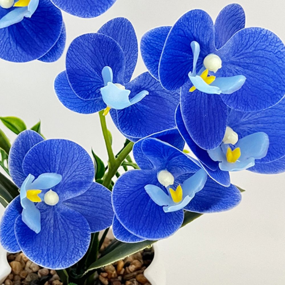 Multi-Bloom Simulated Butterfl – Bonsai Garden Zen Bewertung und Preis