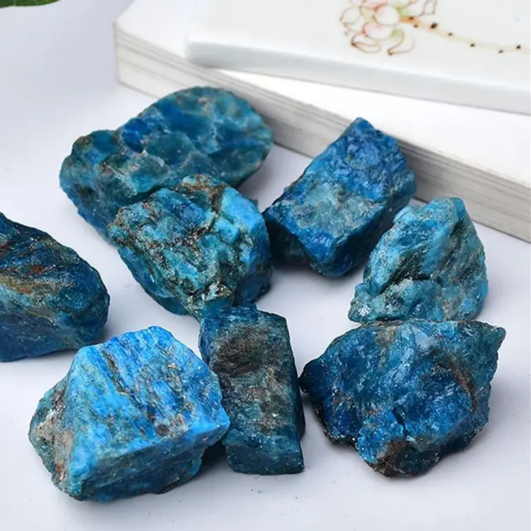 40g/120g/240g Natural Blue Apa – Bonsai Garden Gift Bewertung und Preis
