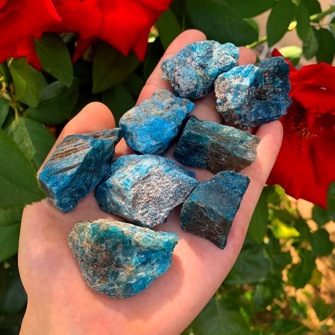 40g/120g/240g Natural Blue Apa – Bonsai Garden Gift Bewertung und Preis