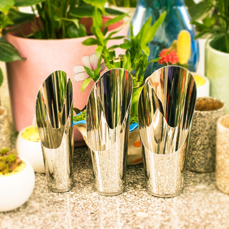 Stainless Steel Bucket Shovel  – Bonsai Garden Zen Bewertung und Preis