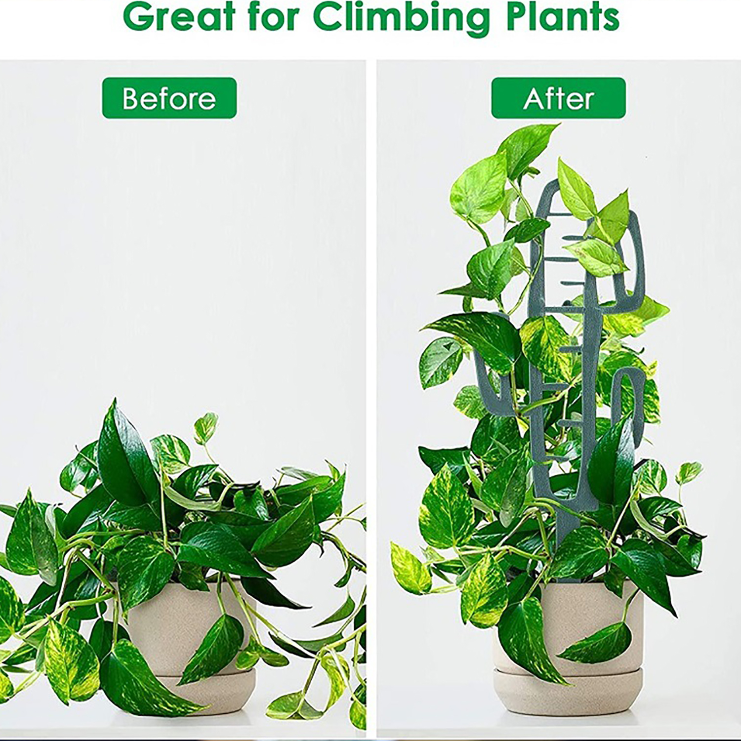 Plant Climbing Support Stand F – Bonsai Garden Zen Bewertung und Preis