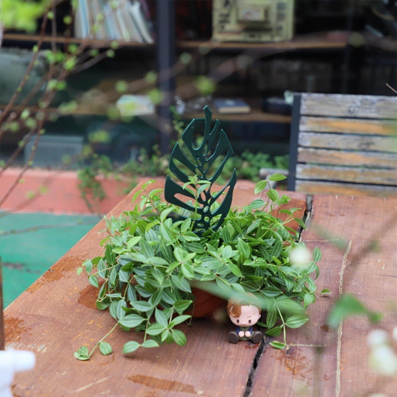 Plant Climbing Support Stand F – Bonsai Garden Zen Bewertung und Preis
