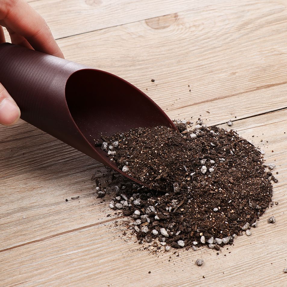 1PC Plastic Soil Shovel Cup Fo – Bonsai Garden Zen Bewertung und Preis